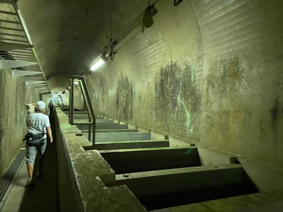 f:id:hakthakt:20211110175456j:plain