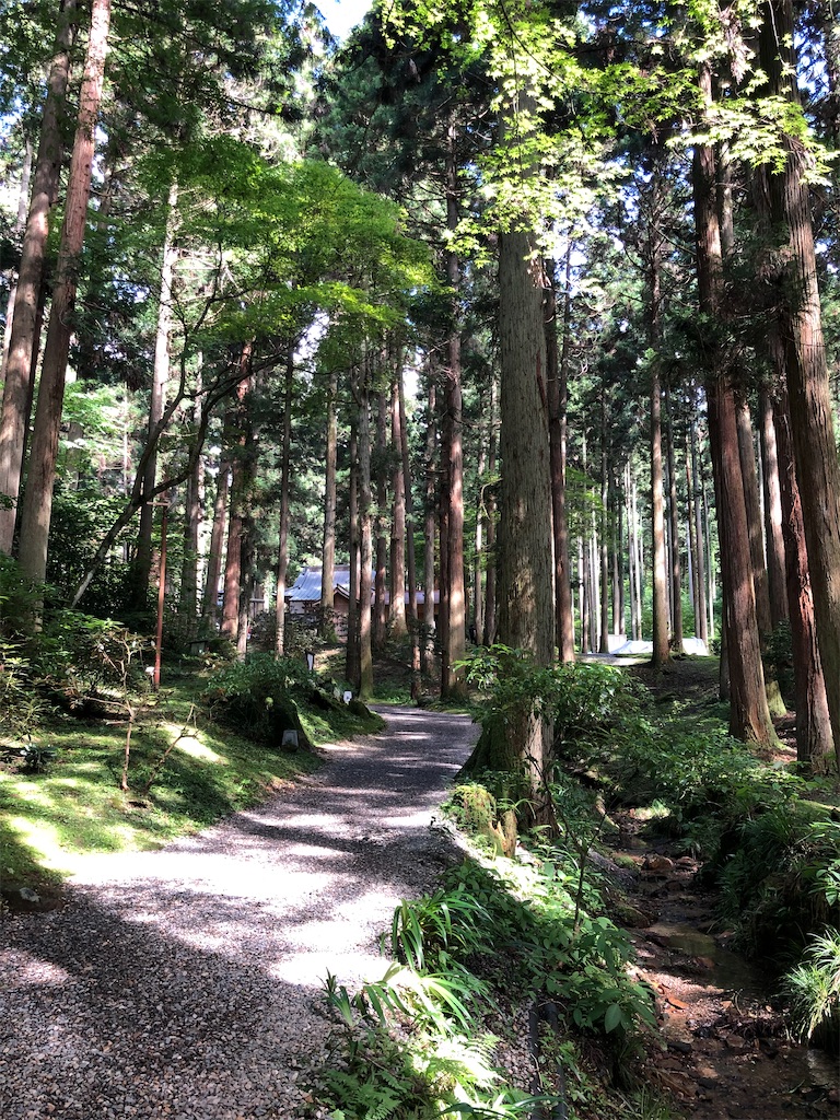 f:id:haku-array:20200224222312j:image