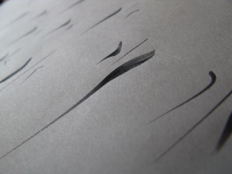 f:id:haku-sai:20110704105254j:image