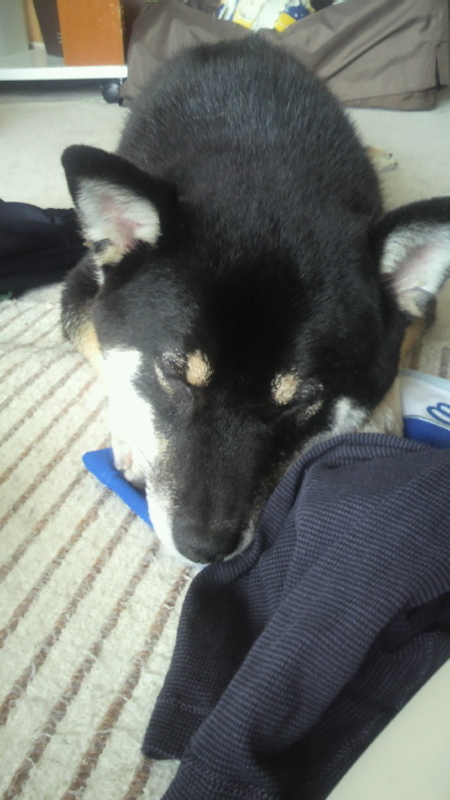 f:id:haku2009:20110703145919j:image