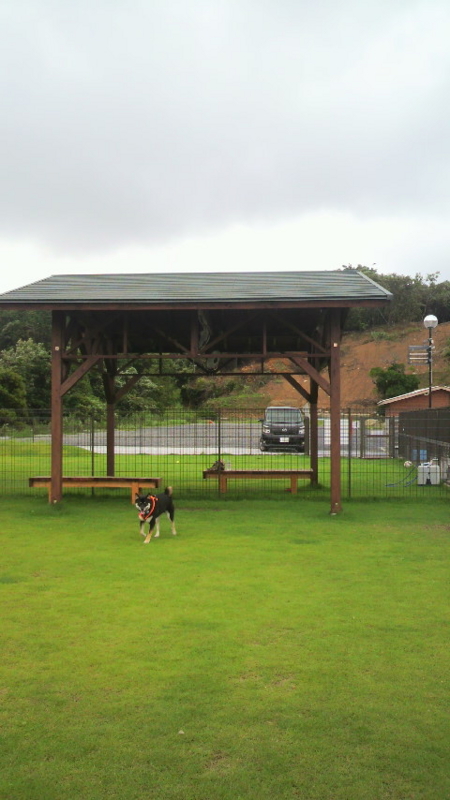 f:id:haku2009:20110904140441j:image