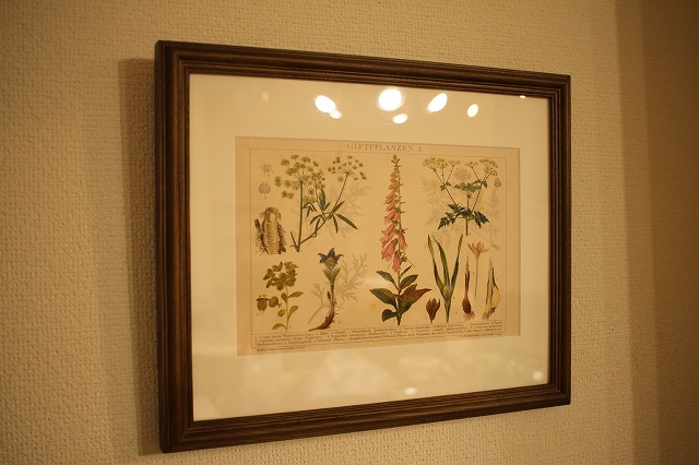 f:id:hakubutsudo:20160523213037j:plain