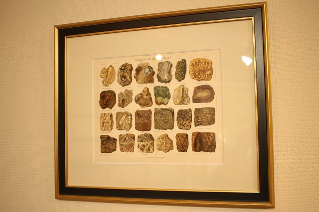 f:id:hakubutsudo:20160523213052j:plain