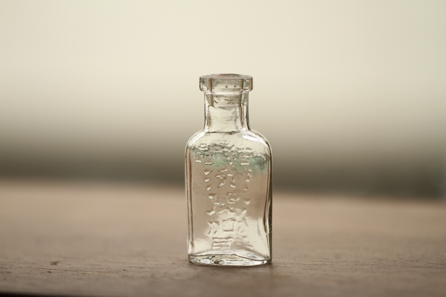 f:id:hakubutsudo:20160703113742j:plain