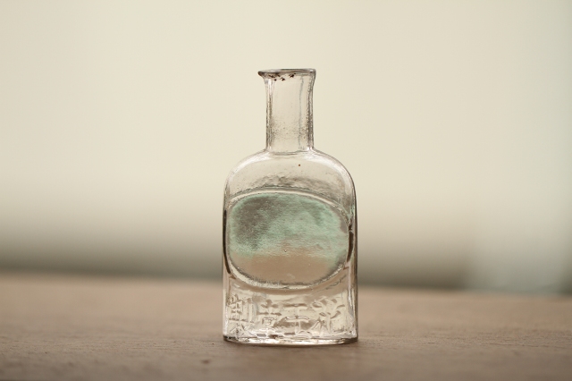 f:id:hakubutsudo:20160703113855j:plain