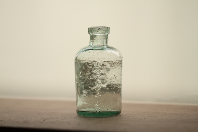 f:id:hakubutsudo:20160703113925j:plain