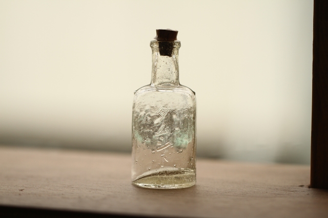 f:id:hakubutsudo:20160704192318j:plain