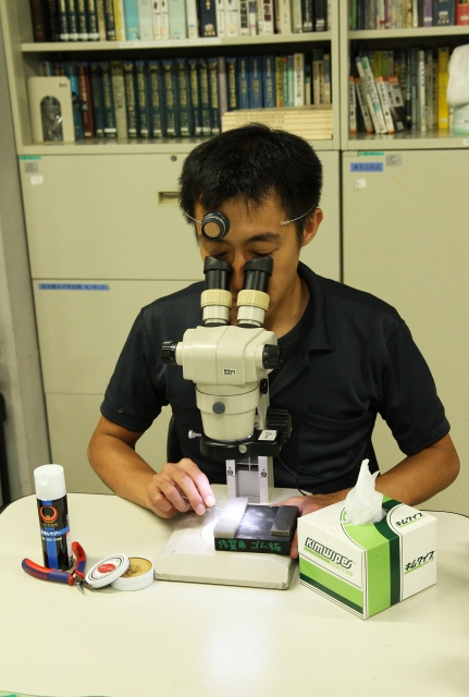 おぴんぴんおじさんのピンセットが入荷しました うみねこ博物堂