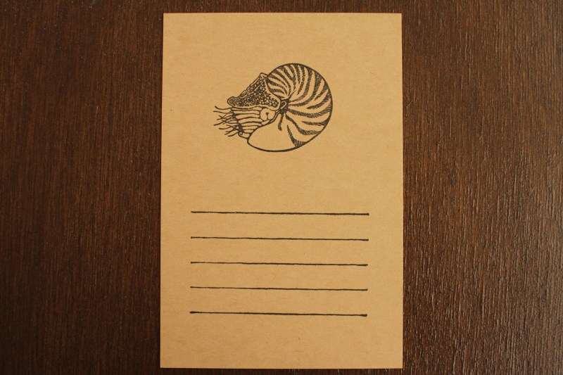 f:id:hakubutsudo:20170504150336j:plain f:id:hakubutsudo:20170504150336j:plain