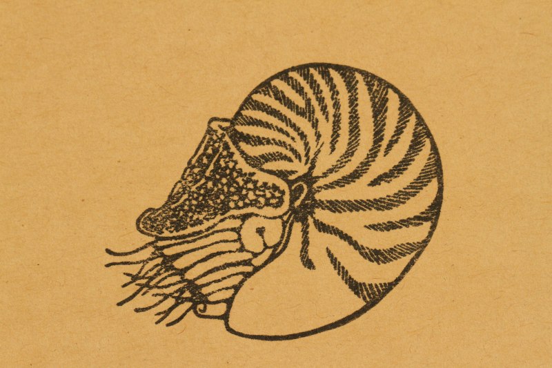 f:id:hakubutsudo:20170504150353j:plain f:id:hakubutsudo:20170504150353j:plain