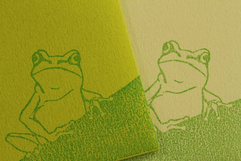 f:id:hakubutsudo:20170504152502j:plain f:id:hakubutsudo:20170504152502j:plain