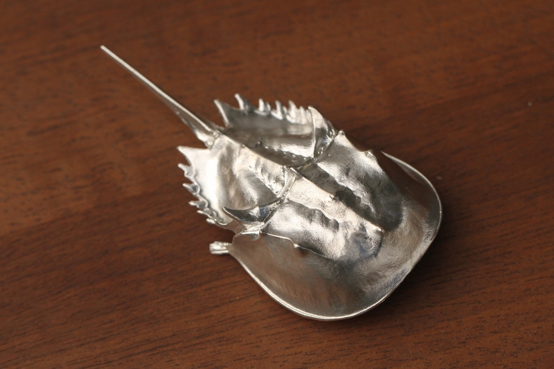 f:id:hakubutsudo:20180323121906j:plain