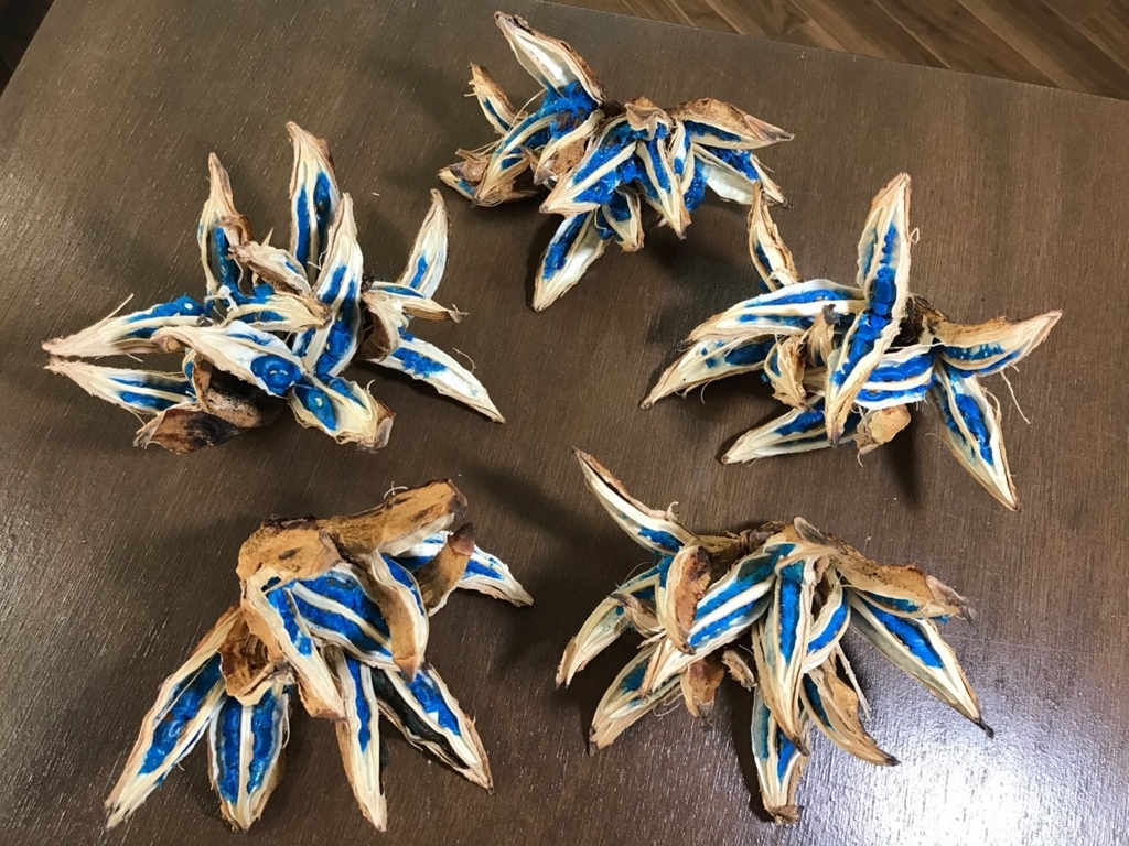 f:id:hakubutsudo:20180708100409j:plain f:id:hakubutsudo:20180708100409j:plain
