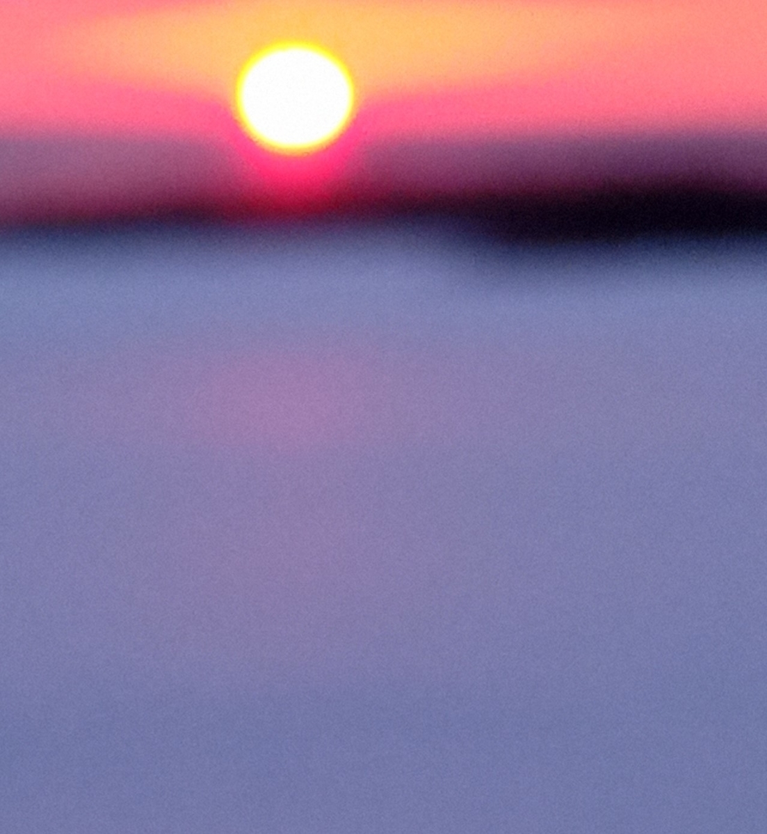 f:id:hakudome:20210131181220j:plain