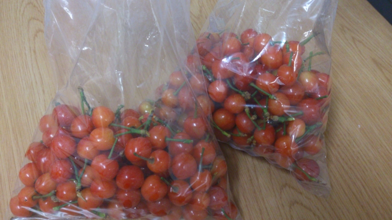 f:id:hakujyunosato:20120521203231j:image