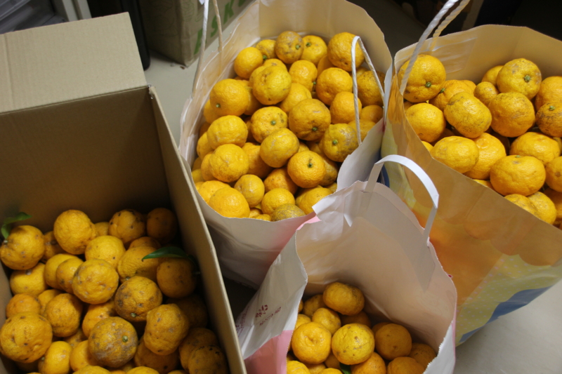 f:id:hakujyunosato:20131221070811j:image f:id:hakujyunosato:20131221070811j:image