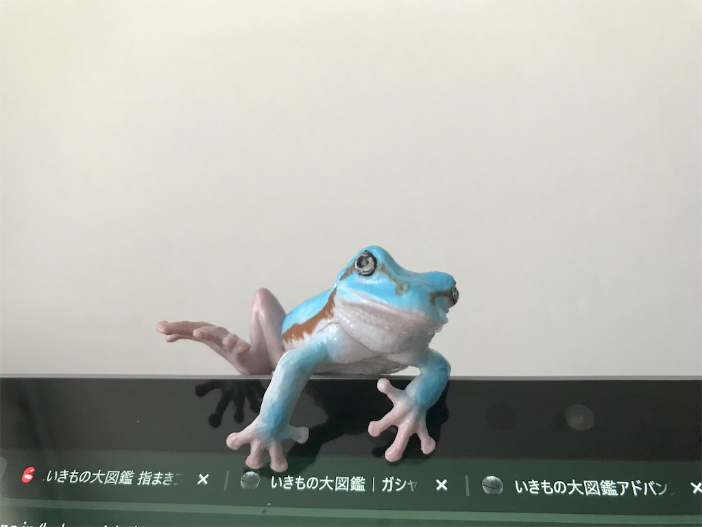 f:id:hakumai-haha:20240828150008j:image