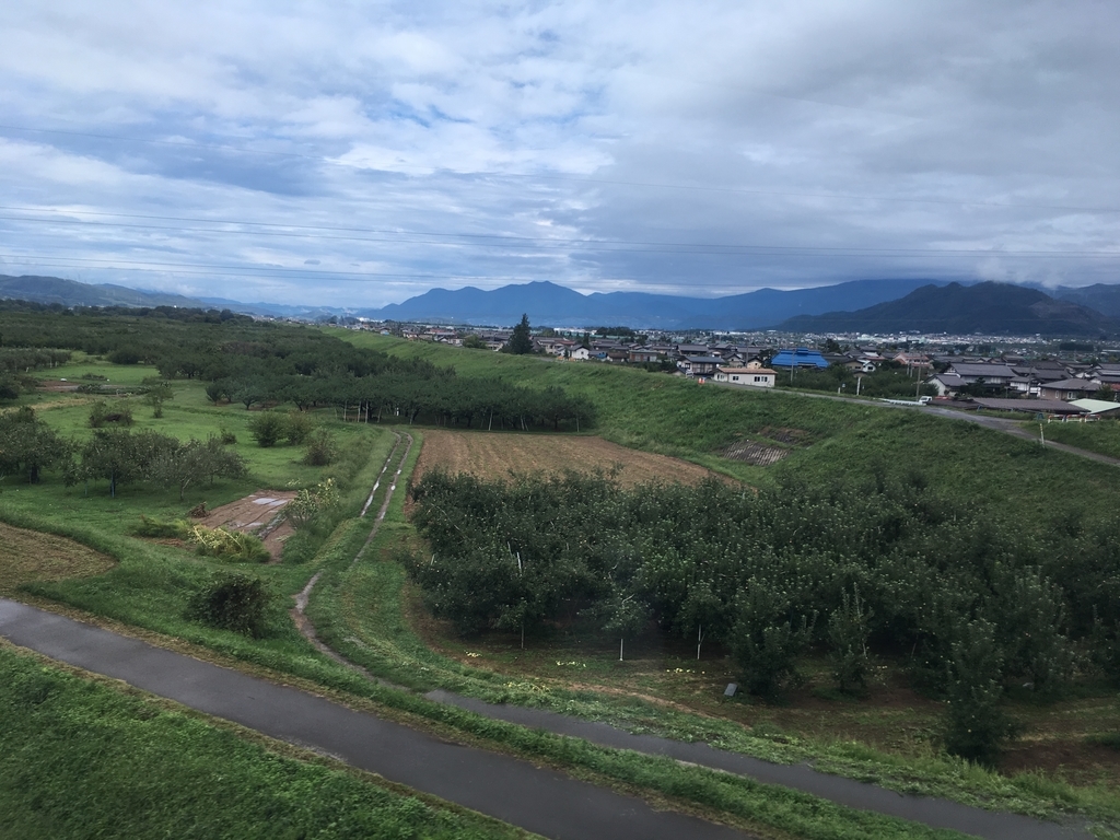 f:id:hakumai_suki:20180913034421j:plain f:id:hakumai_suki:20180913034421j:plain