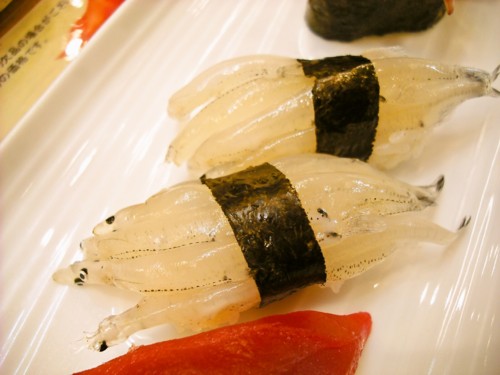 f:id:hakuo0416:20100309172839j:image