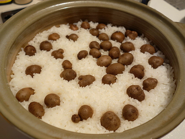 f:id:hakuoatsushi:20161101114126j:plain