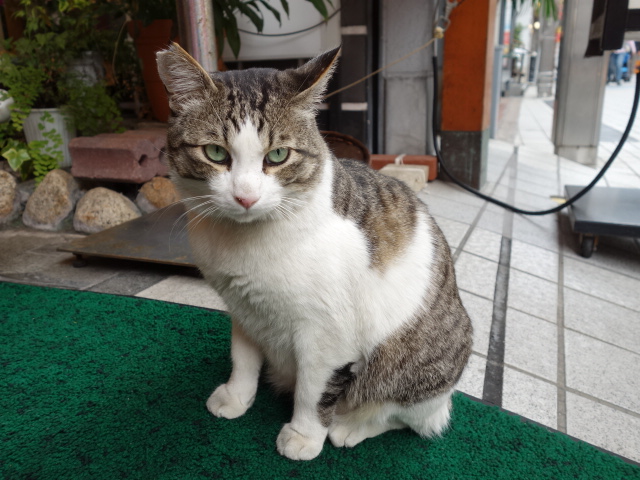 f:id:hakuoatsushi:20170428103937j:plain f:id:hakuoatsushi:20170428103937j:plain