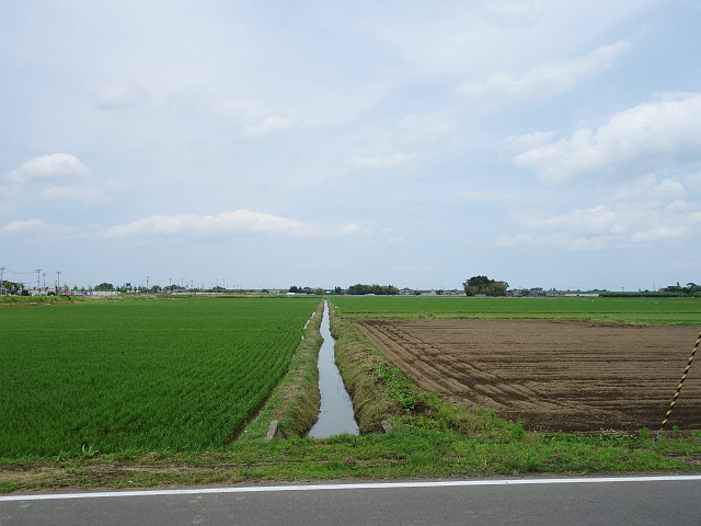 f:id:hakuoatsushi:20170624032149j:plain f:id:hakuoatsushi:20170624032149j:plain
