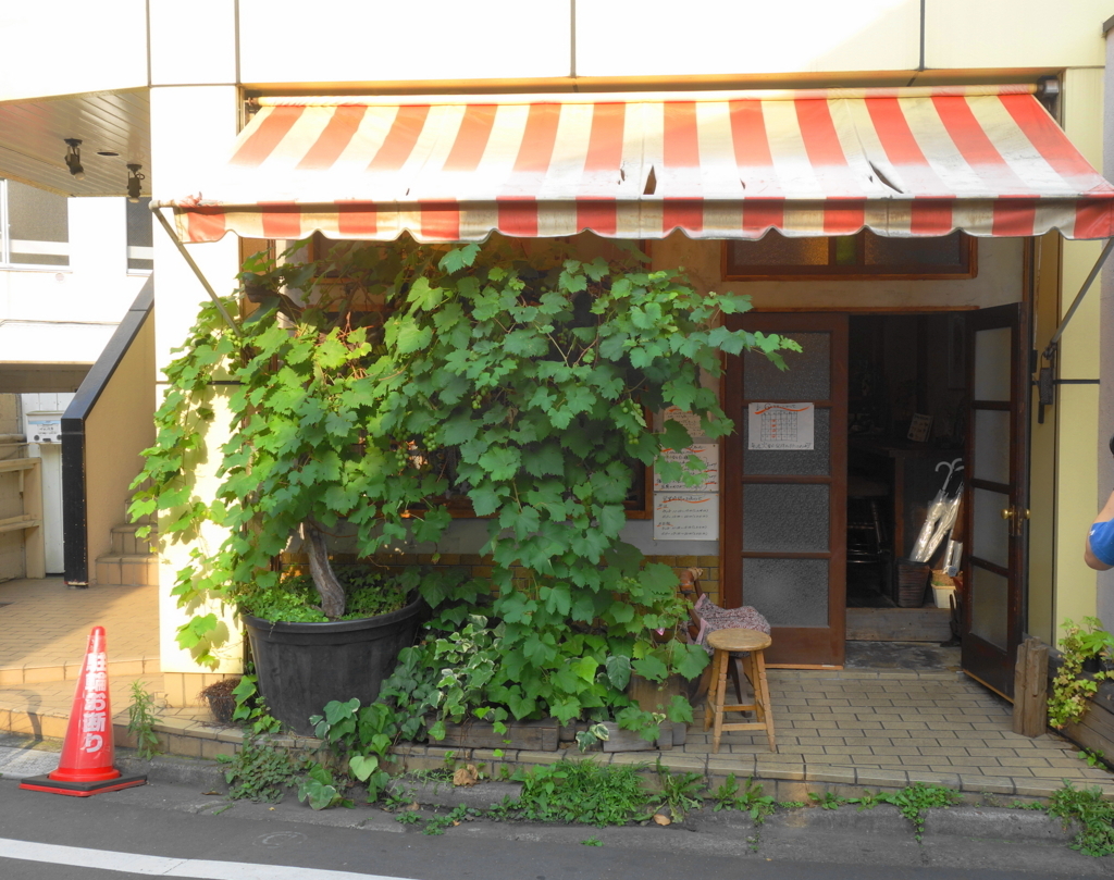 f:id:hakuoatsushi:20180629040502j:plain f:id:hakuoatsushi:20180629040502j:plain