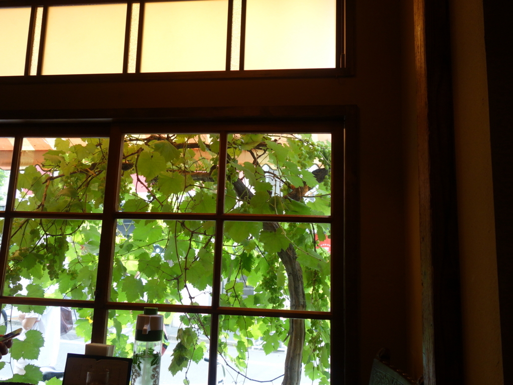 f:id:hakuoatsushi:20180629041402j:plain f:id:hakuoatsushi:20180629041402j:plain
