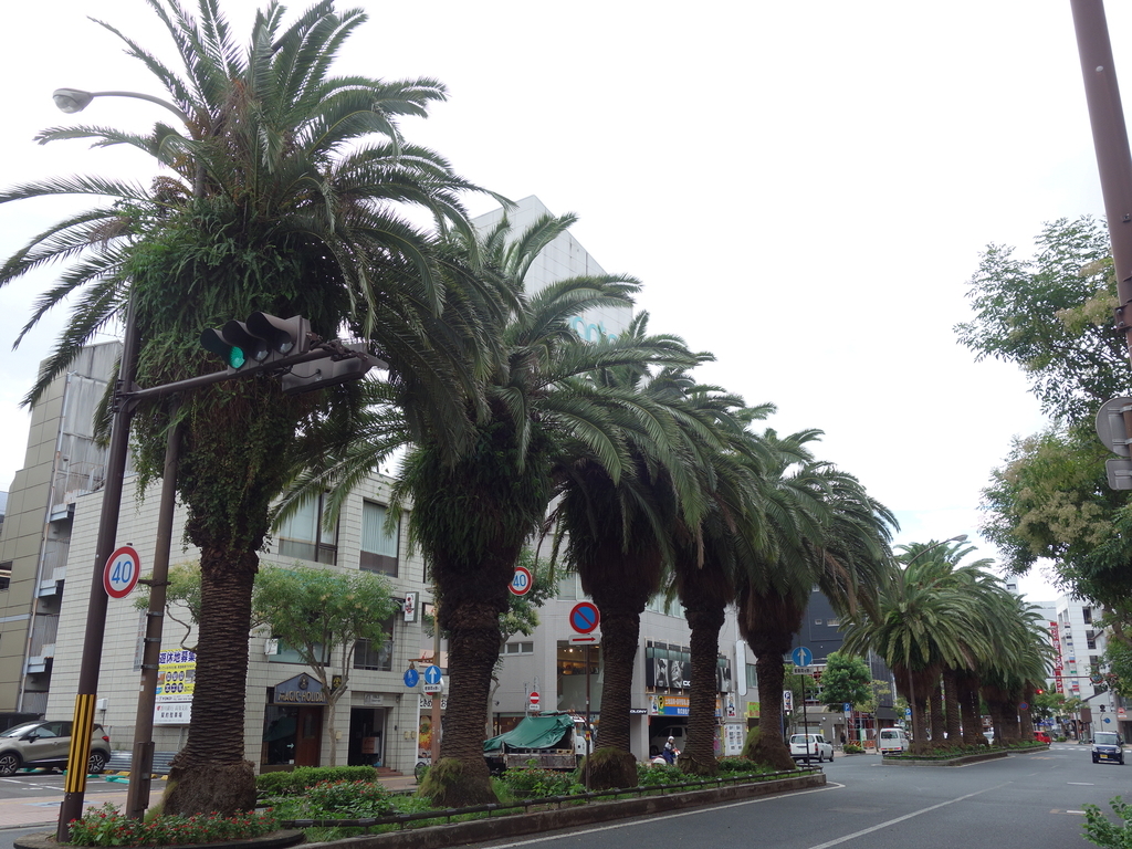 f:id:hakuoatsushi:20180907103535j:plain f:id:hakuoatsushi:20180907103535j:plain