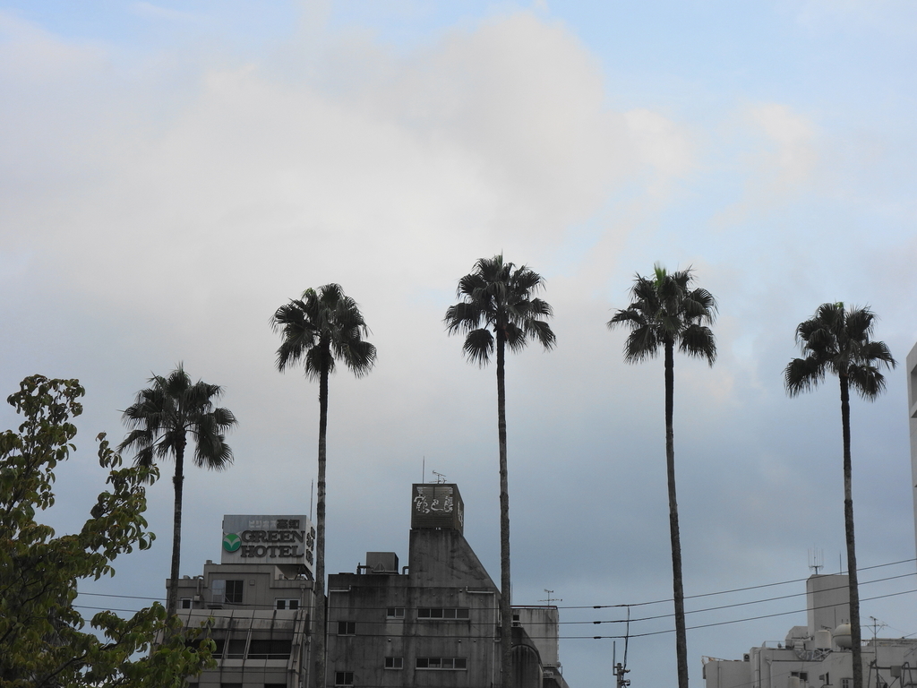 f:id:hakuoatsushi:20180907134258j:plain f:id:hakuoatsushi:20180907134258j:plain