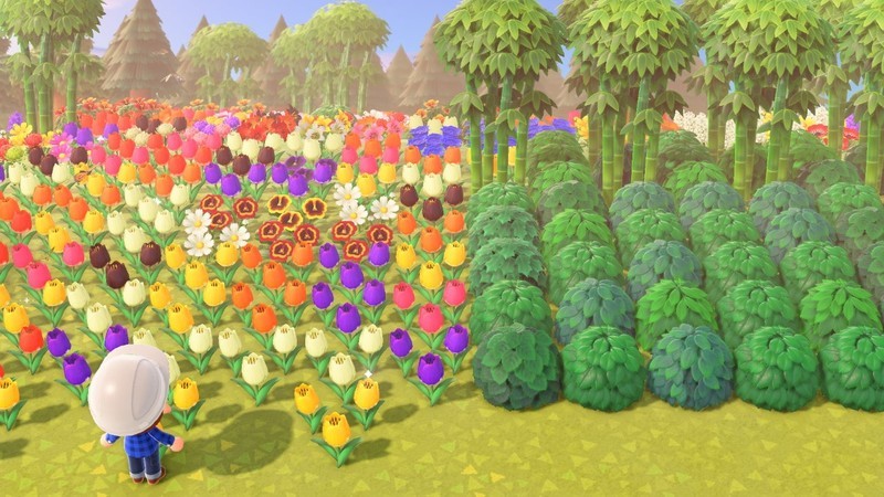 f:id:hakusai_games:20200920002215j:plain f:id:hakusai_games:20200920002215j:plain