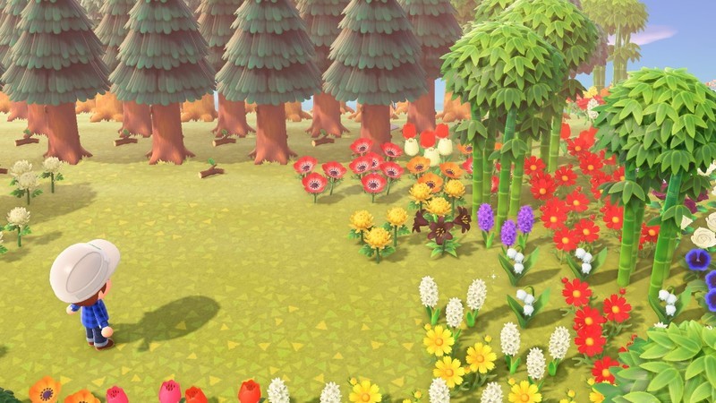 f:id:hakusai_games:20200920002221j:plain f:id:hakusai_games:20200920002221j:plain
