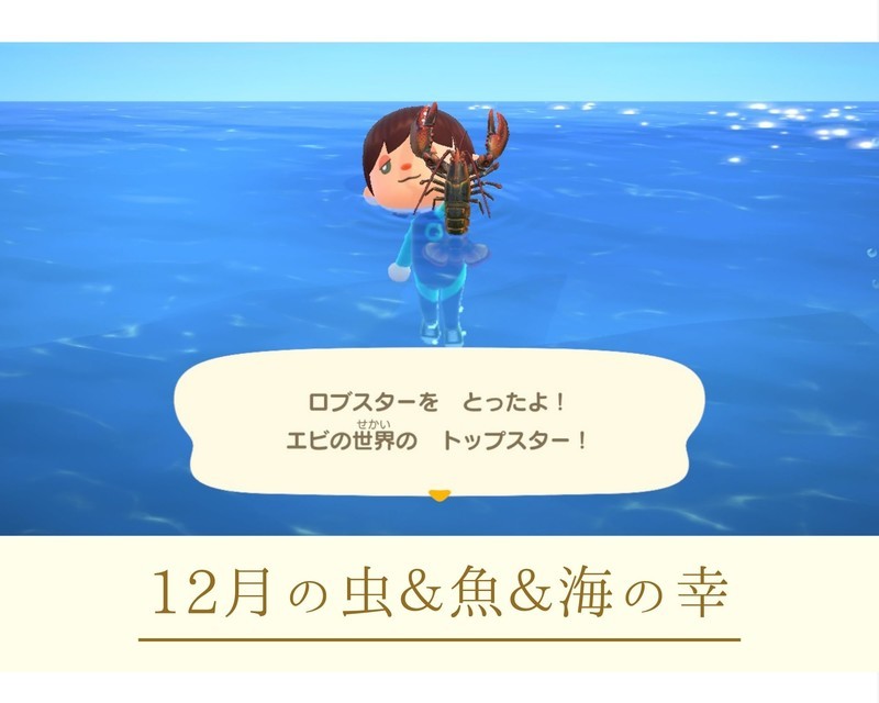 あつ森攻略 12月から採れる虫 魚 海の幸まとめ はくさいのゲームブログ