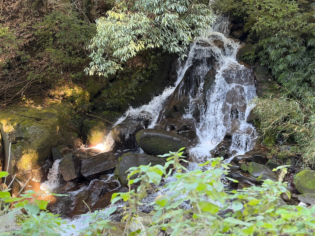 f:id:hakusai_tech:20260218231553j:image
