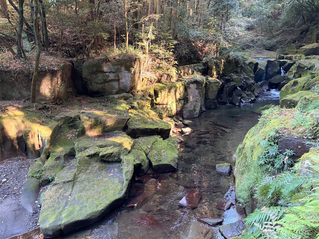 f:id:hakusai_tech:20260218231557j:image