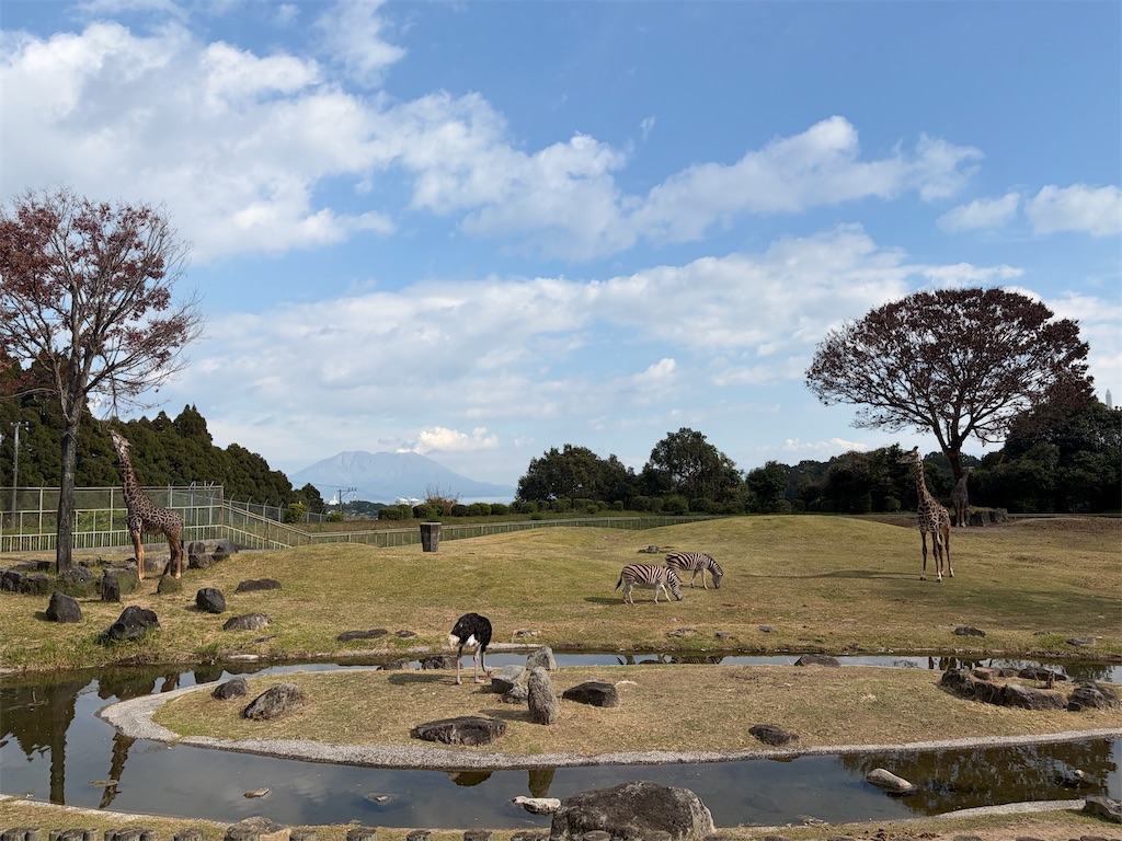 f:id:hakusai_tech:20260223003400j:image