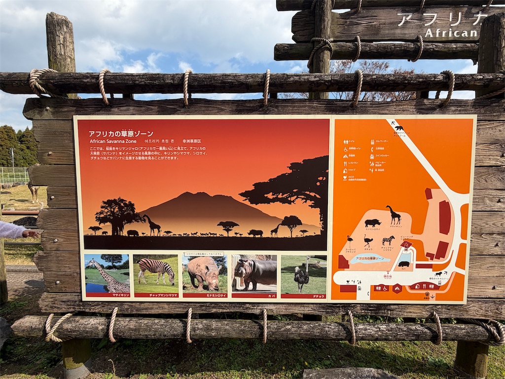 f:id:hakusai_tech:20260223003403j:image