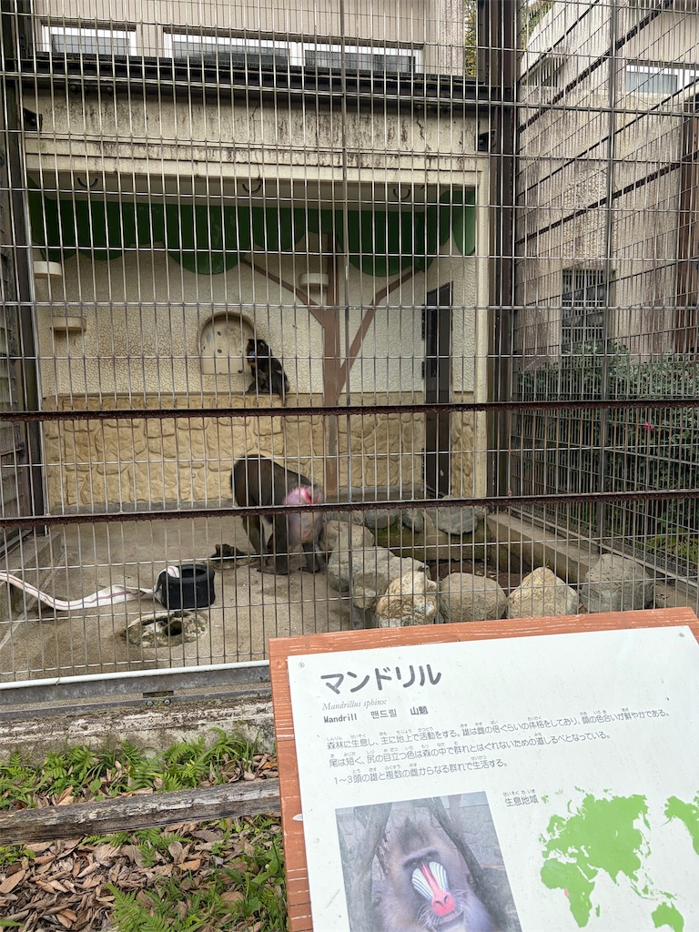 f:id:hakusai_tech:20260223011300j:image