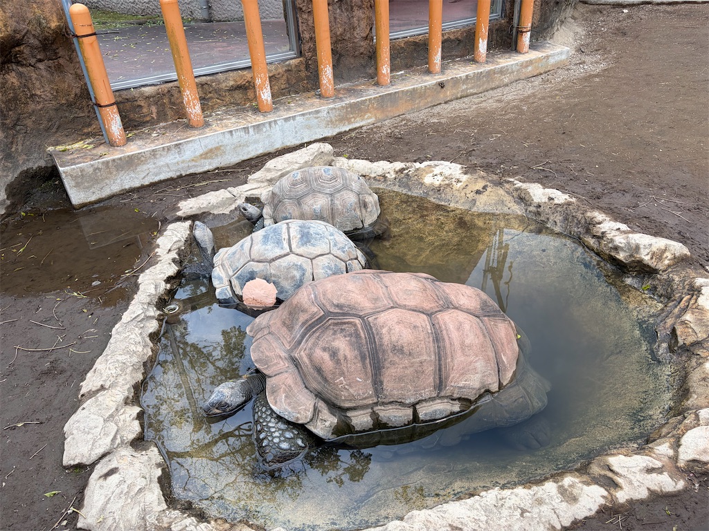 f:id:hakusai_tech:20260315170842j:image