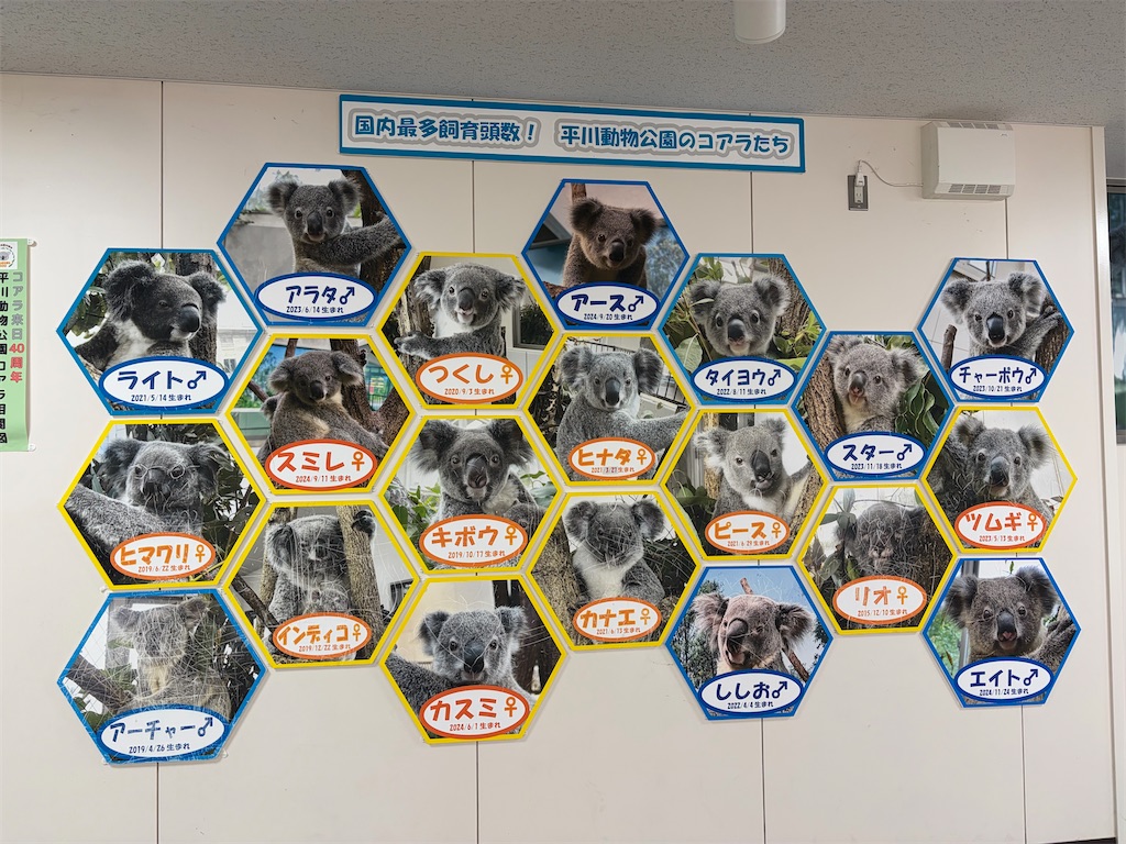 f:id:hakusai_tech:20260315172634j:image