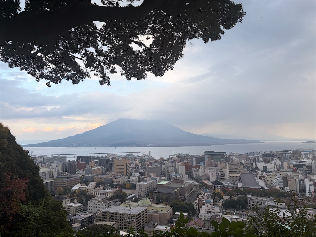f:id:hakusai_tech:20260315203039j:image