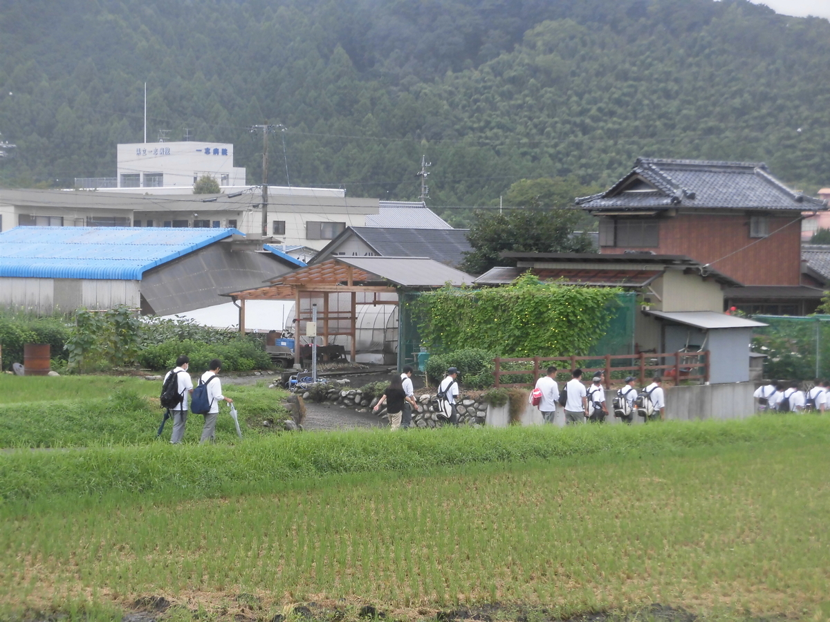 f:id:hakusangogo:20190908174433j:plain