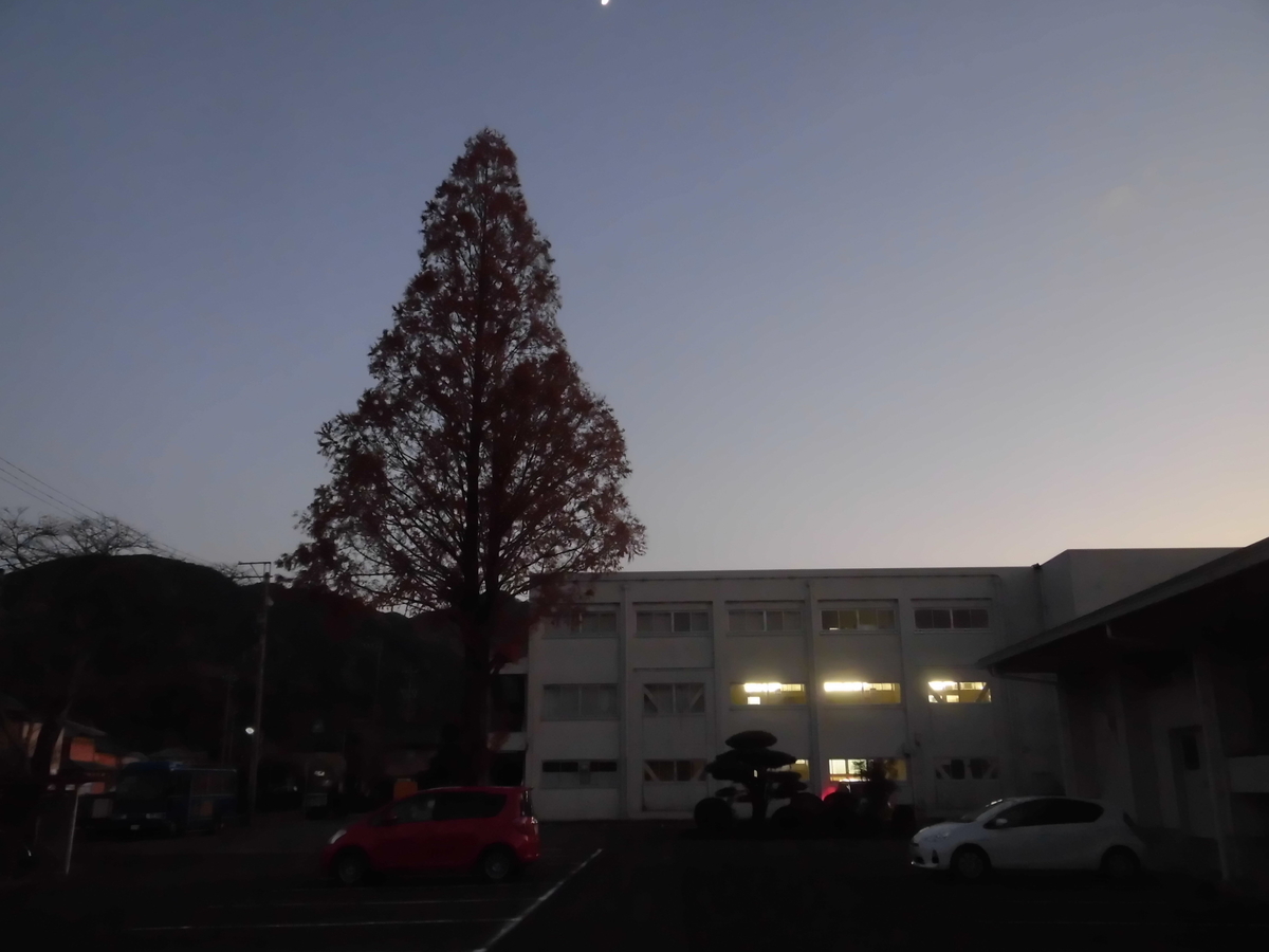 f:id:hakusangogo:20191208045025j:plain