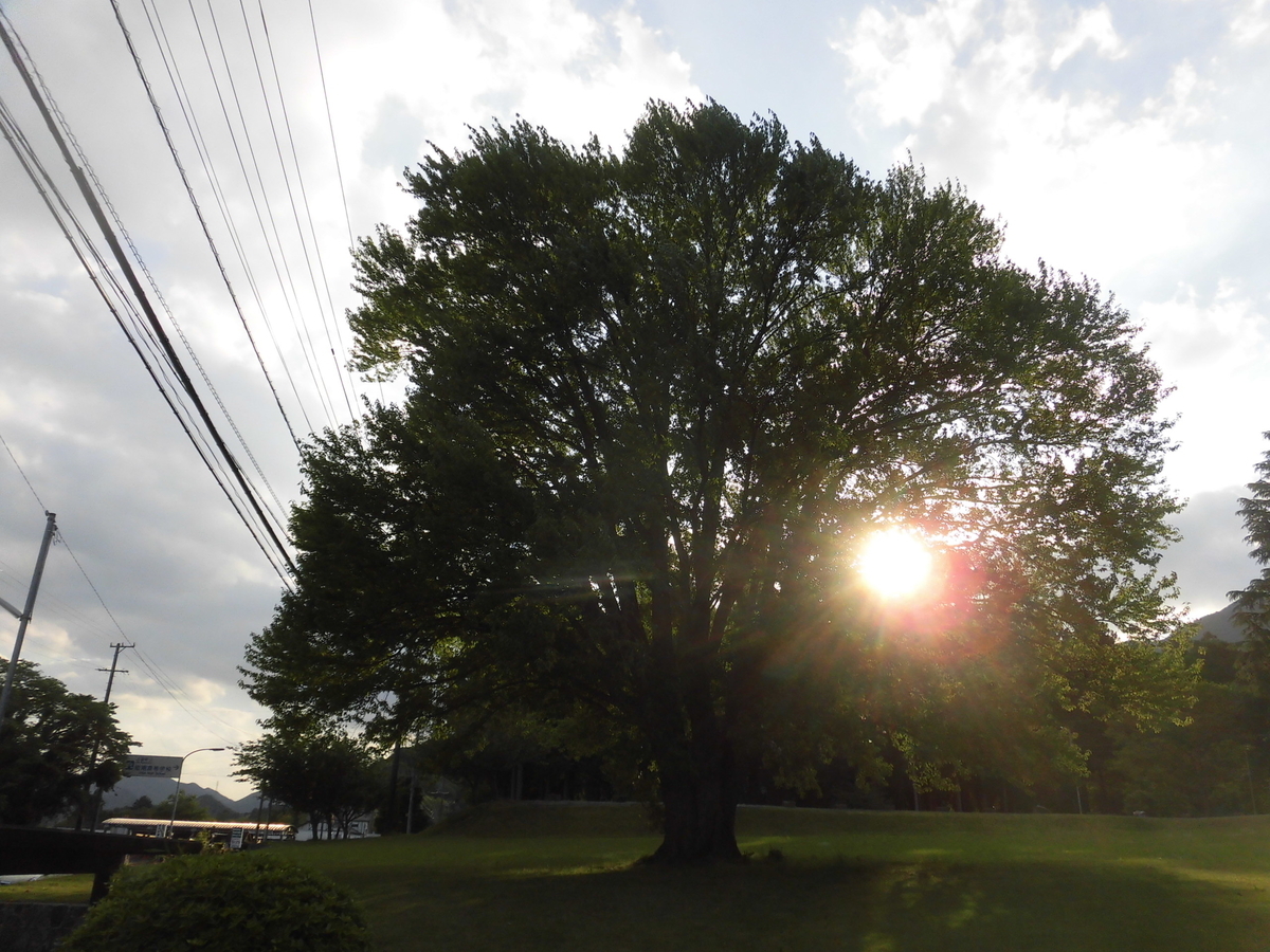 f:id:hakusangogo:20200515120111j:plain