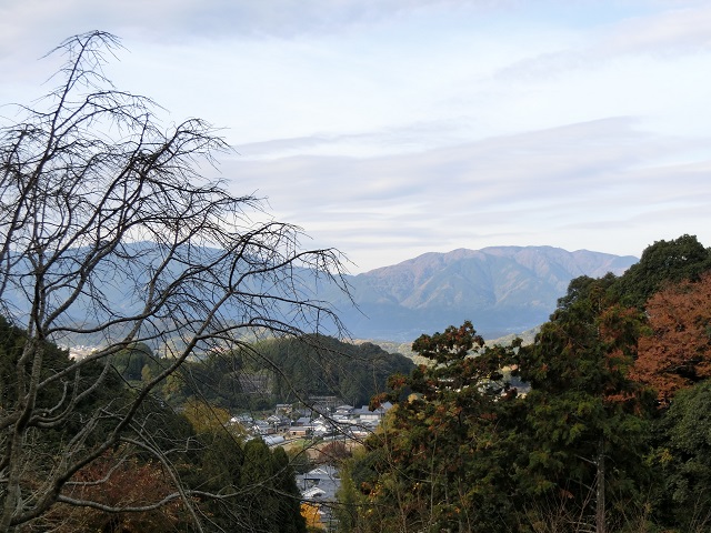 f:id:hakusaniiyo:20190329000226j:plain f:id:hakusaniiyo:20190329000226j:plain