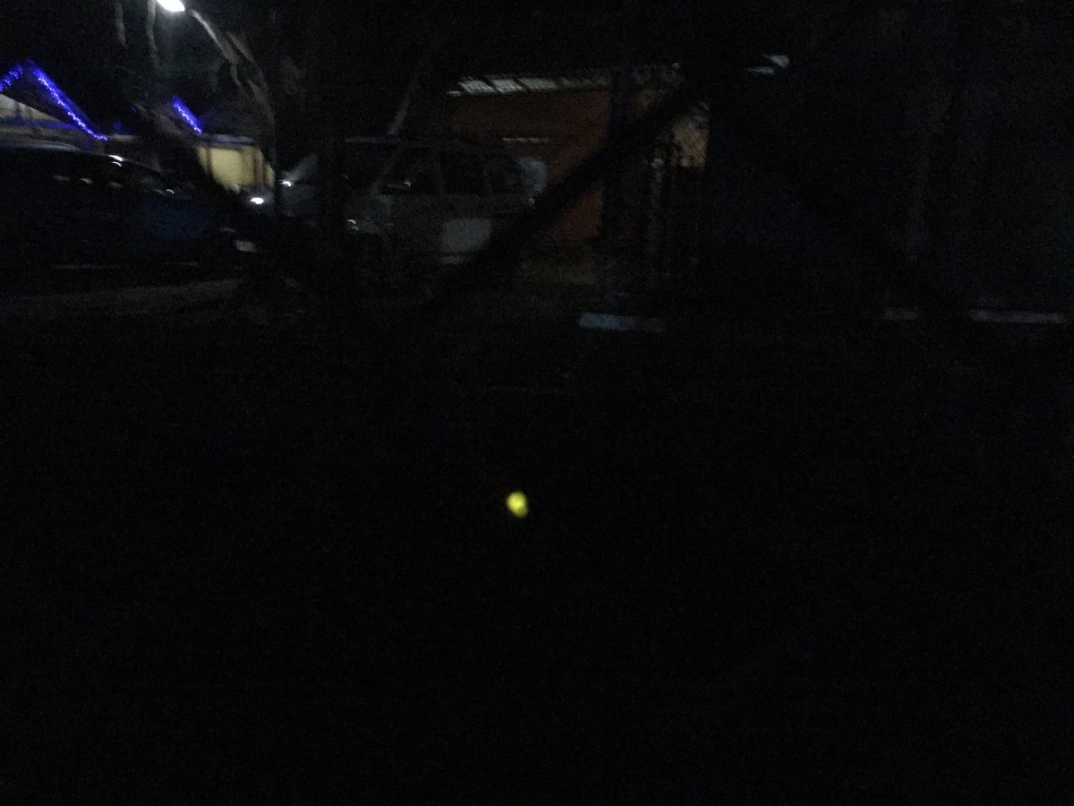 f:id:hakusanoste:20150109204615j:plain