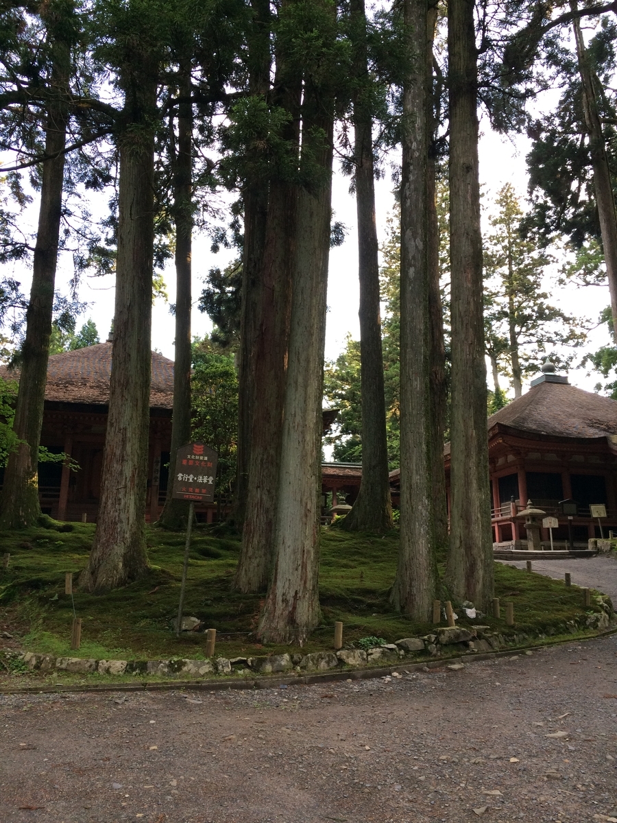 f:id:hakusanoste:20191026222104j:plain