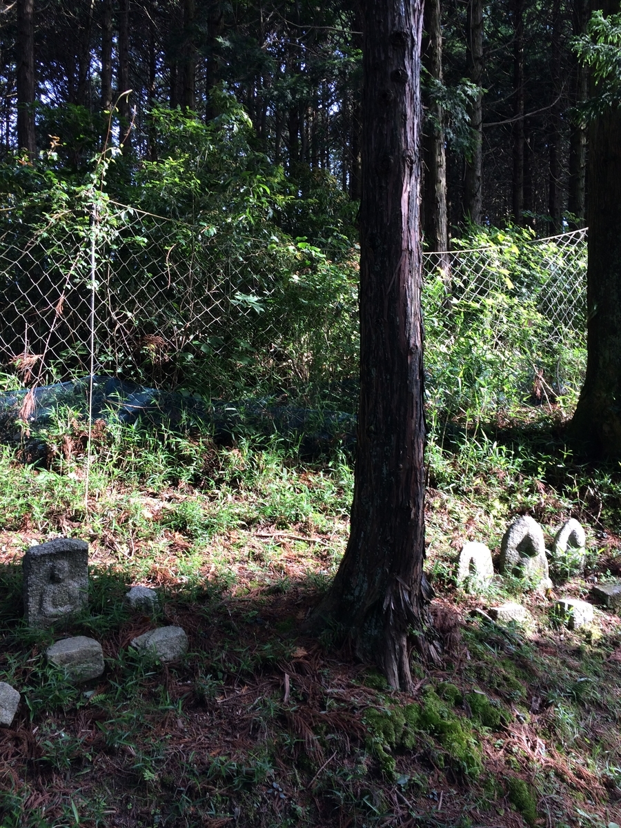 f:id:hakusanoste:20191027114212j:plain
