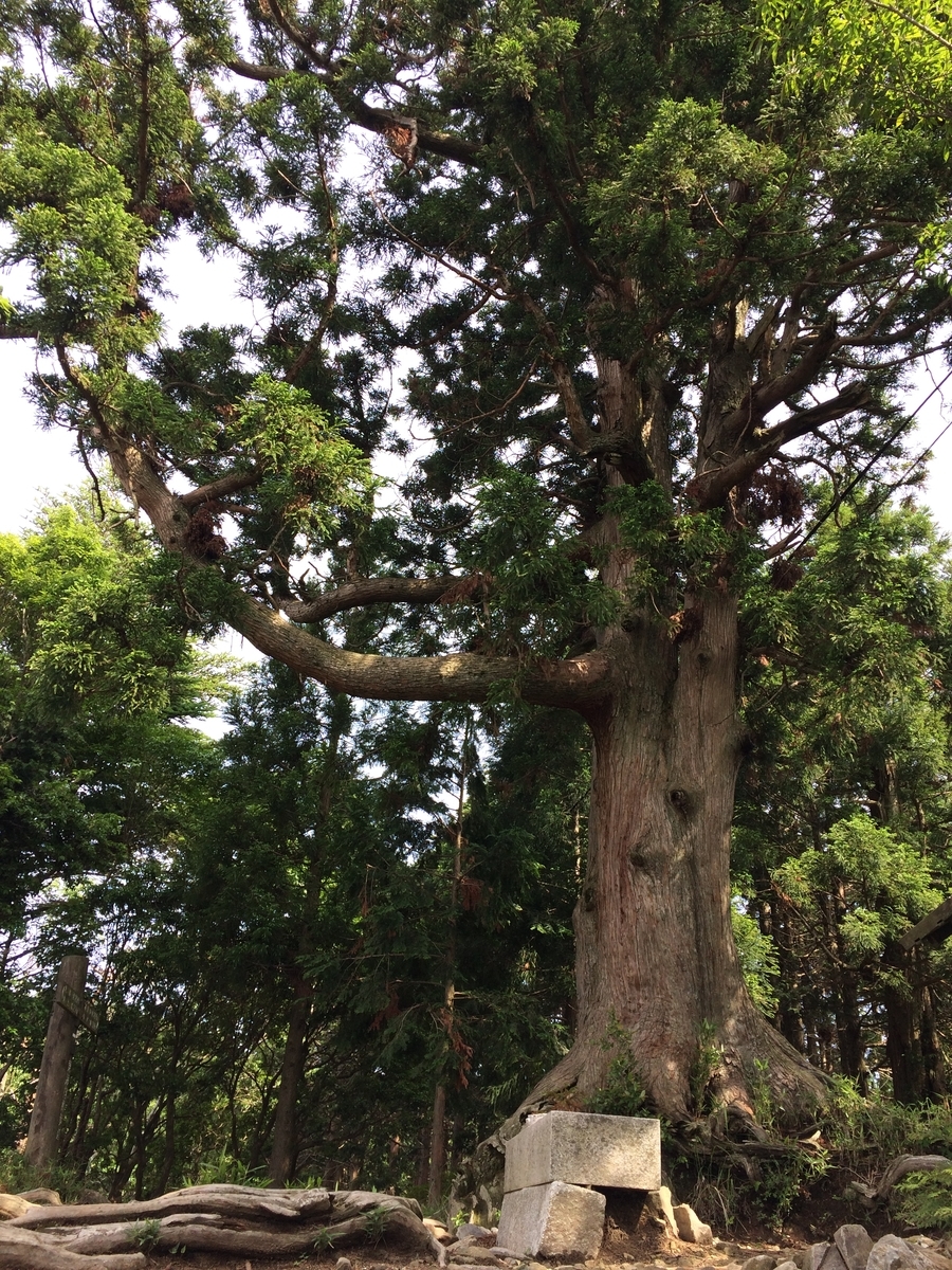 f:id:hakusanoste:20191027221641j:plain