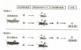 f:id:hakusanoste:20191209204459p:plain